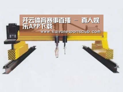 产品名称十八