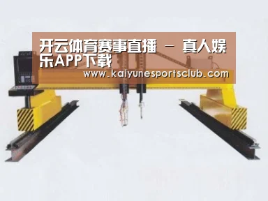 产品名称十九