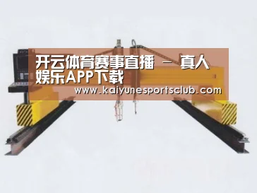 产品名称十九