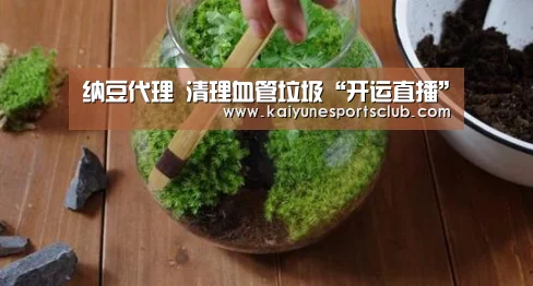 开运登录